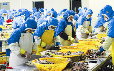 延邊食品產業壯大 1至8月工業總產值212億元